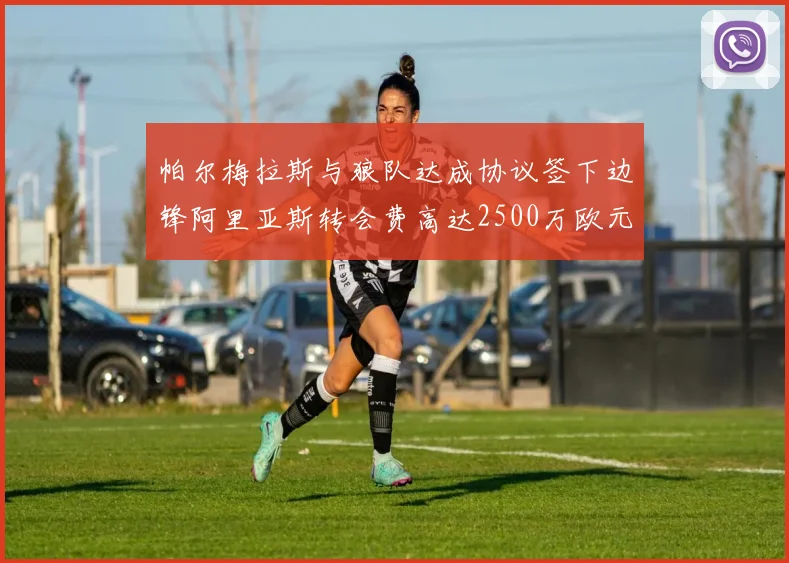帕尔梅拉斯与狼队达成协议签下边锋阿里亚斯转会费高达2500万欧元