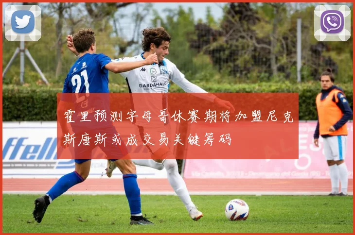 霍里预测字母哥休赛期将加盟尼克斯唐斯或成交易关键筹码