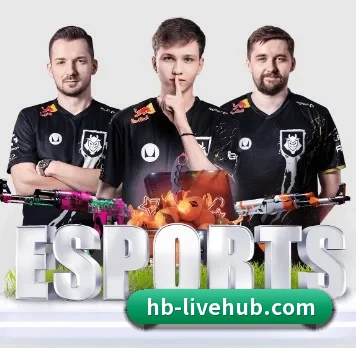 国际化进程 - huobosports